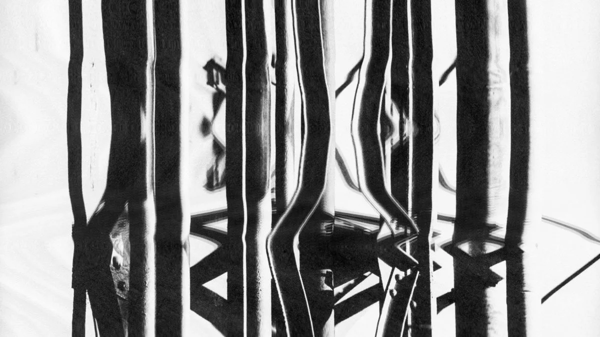 Daniel Elms — Collected Works 2018–22