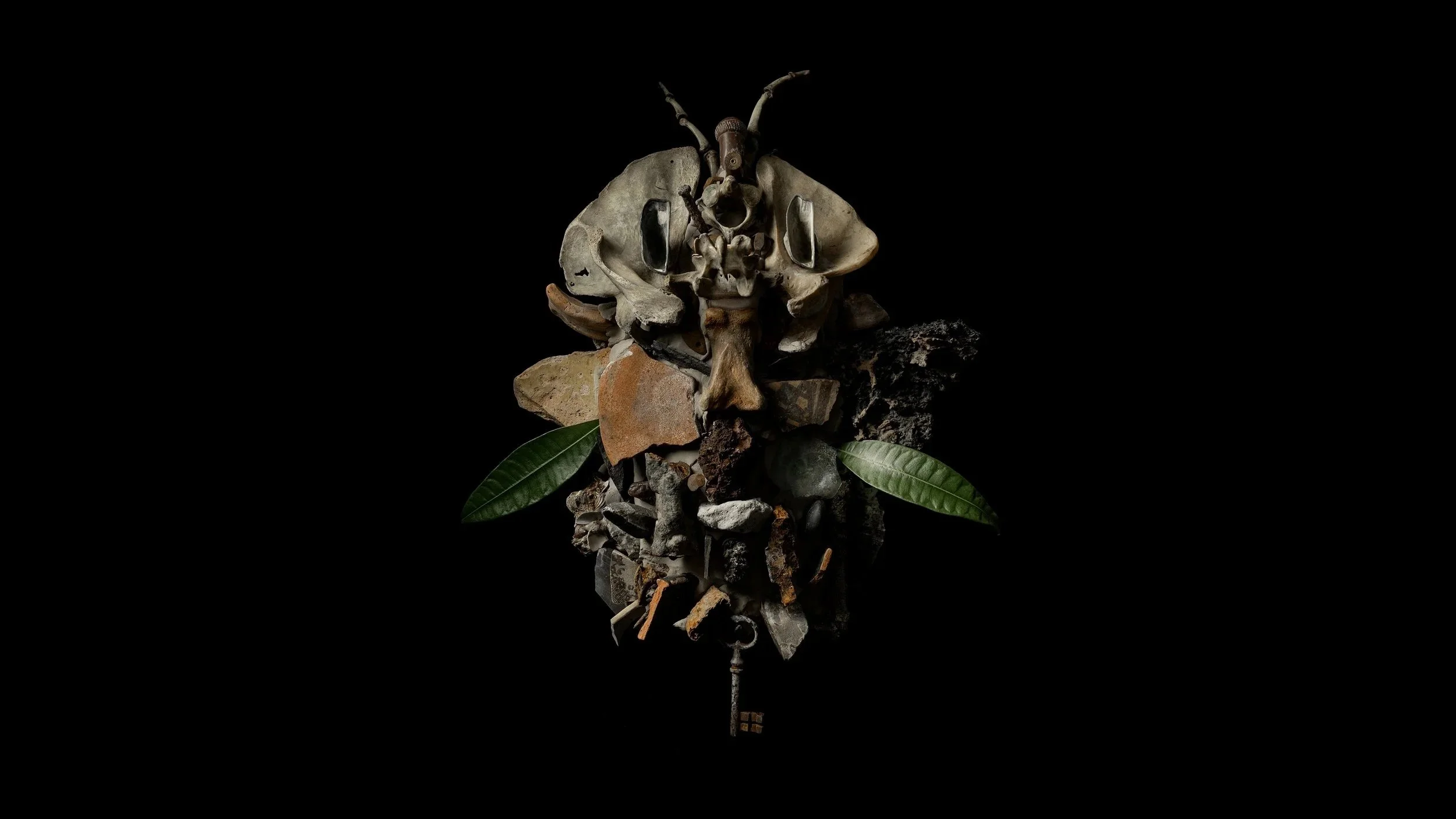 Francesco Fabris — DISPLACES