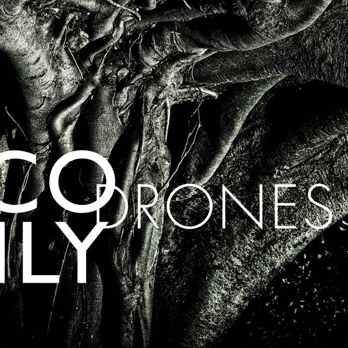 Cover artwork for Drones