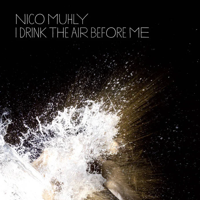 Cover artwork for I Drink the Air Before Me
